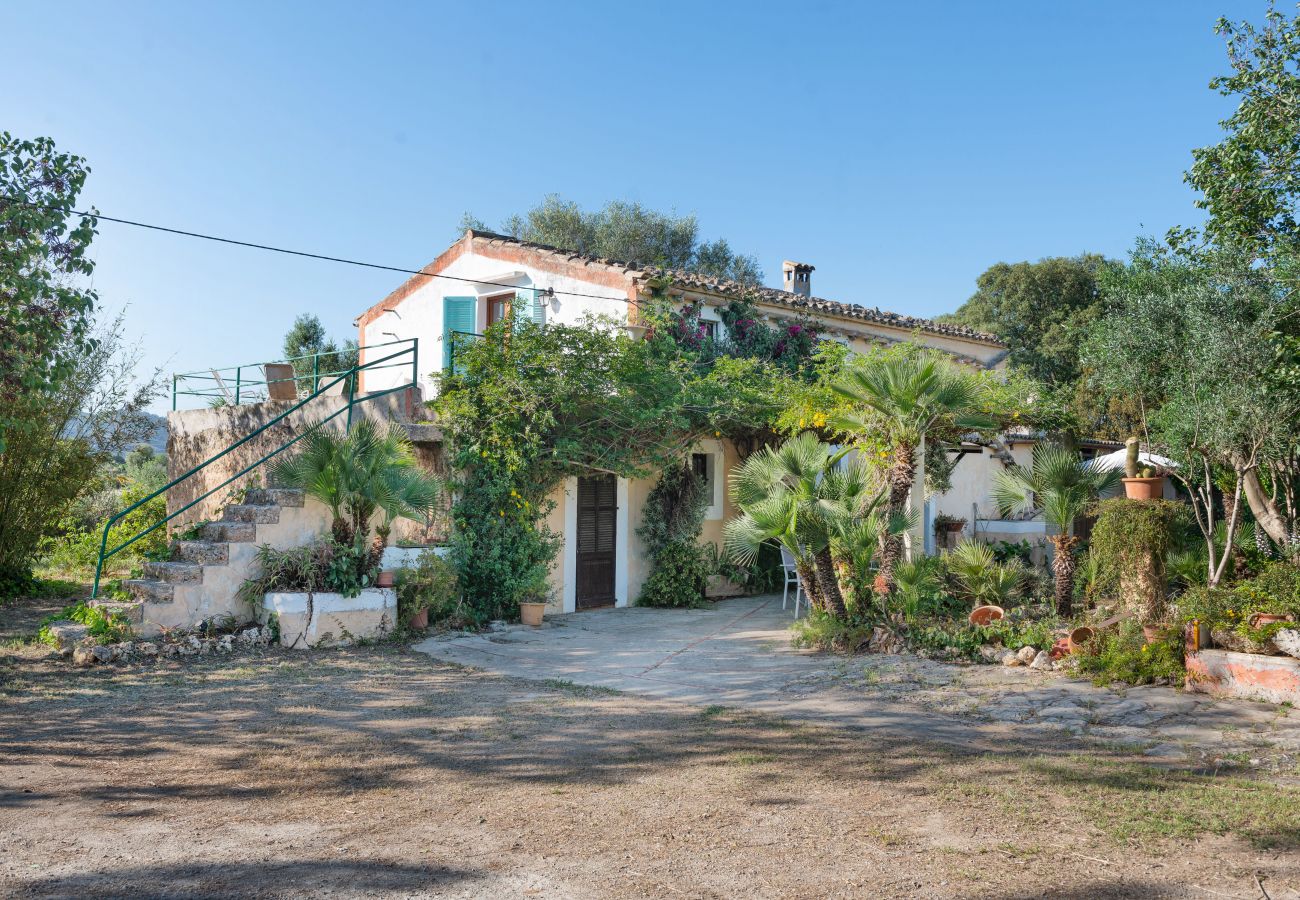 Gîte Rural à Inca - Sunset Ecofinca Can Vey Gîte Rural à Inca - Sunset Ecofinca Can Vey