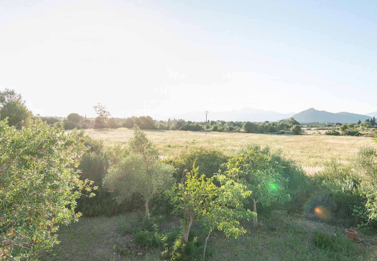 Gîte Rural à Inca - Sunset Ecofinca Can Vey Gîte Rural à Inca - Sunset Ecofinca Can Vey