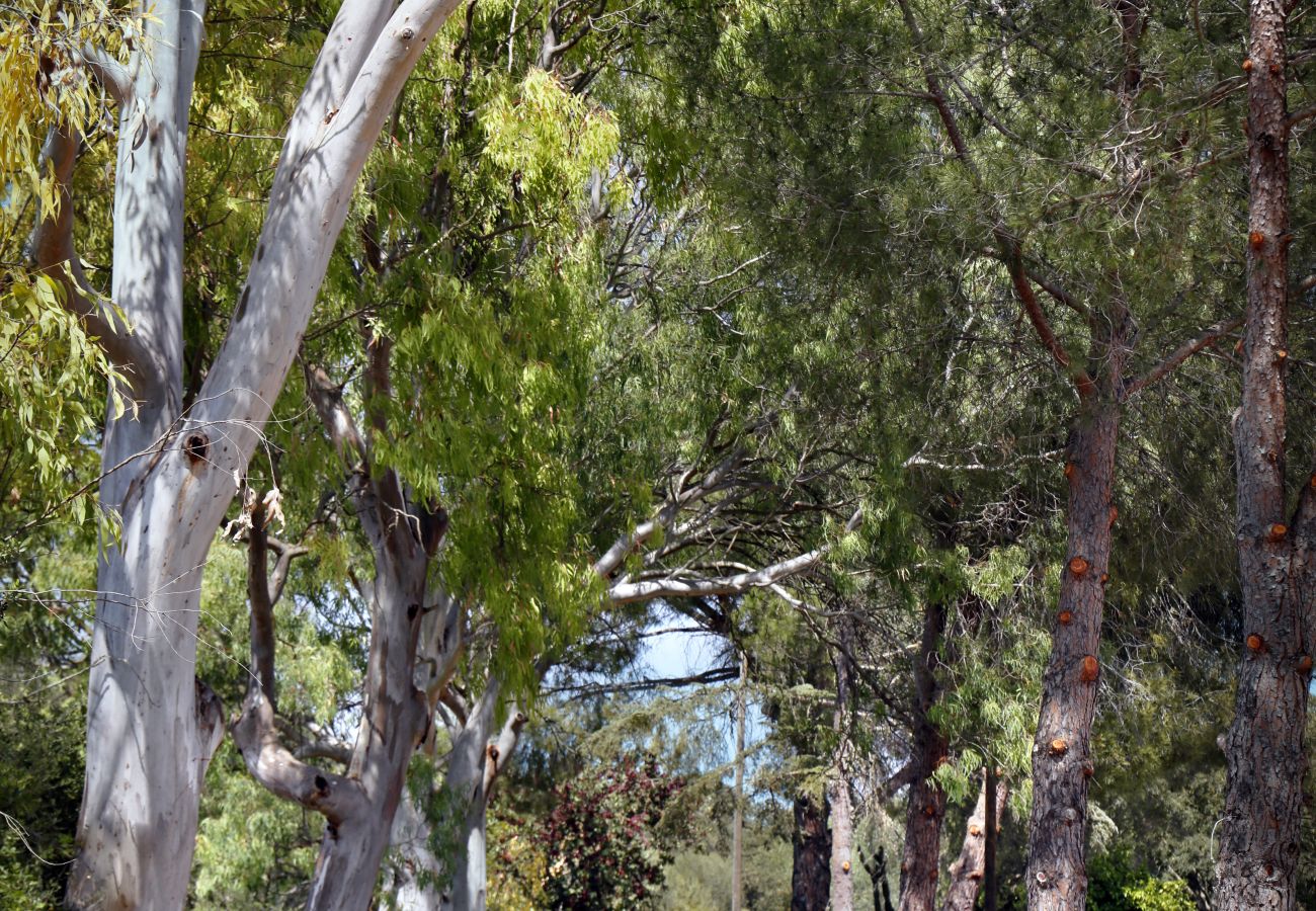 Gîte Rural à Inca - Sunset Ecofinca Can Vey Gîte Rural à Inca - Sunset Ecofinca Can Vey