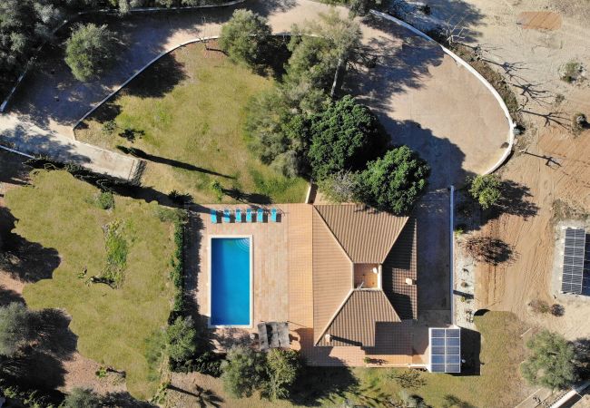 villa, mallorca, alcudia, piscine.  villa, mallorca, alcudia, piscine.