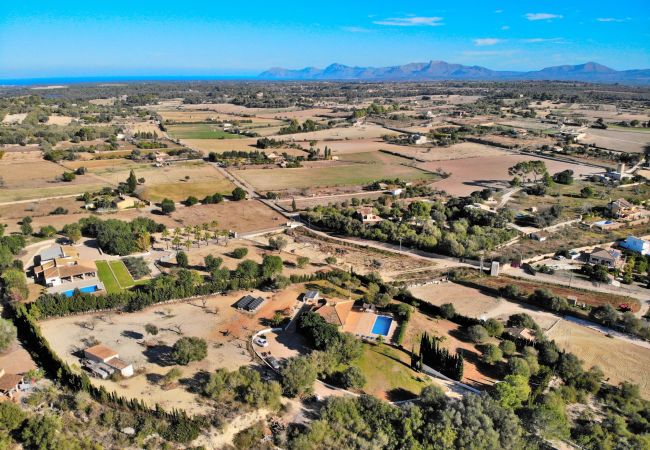 villa, mallorca, alcudia, piscine.  villa, mallorca, alcudia, piscine.