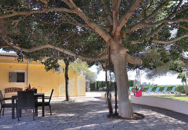 maison de vacances, piscine, beau jardin.  maison de vacances, piscine, beau jardin.