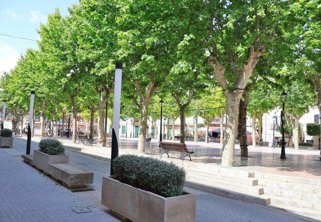 villa, mallorca, alcudia, piscine.  villa, mallorca, alcudia, piscine.