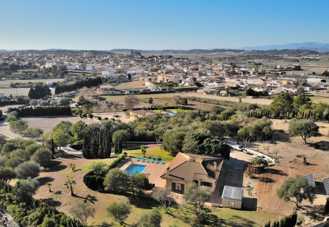 villa, mallorca, alcudia, piscine.  villa, mallorca, alcudia, piscine.