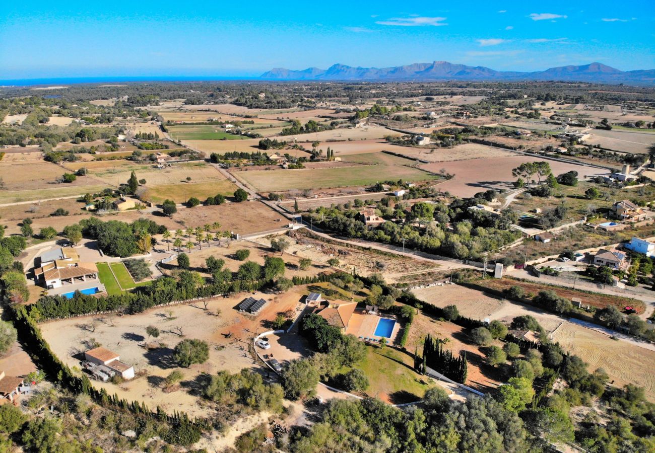 villa, mallorca, alcudia, piscine.  villa, mallorca, alcudia, piscine.