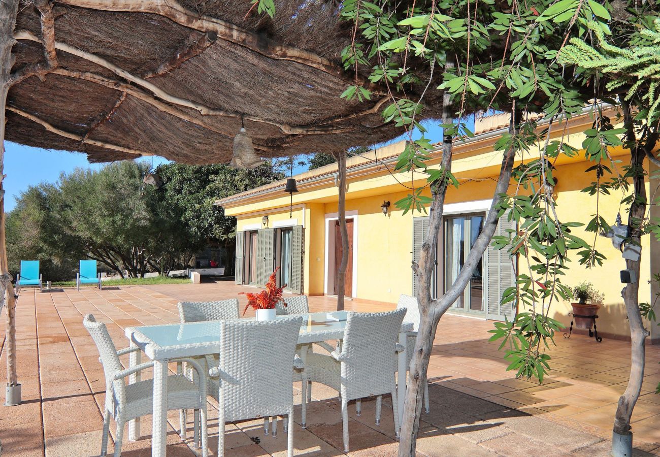 villa, mallorca, alcudia, piscine.  villa, mallorca, alcudia, piscine.