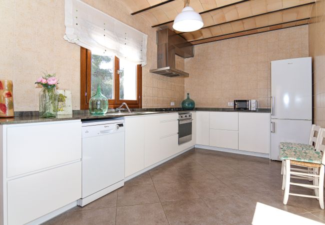 villa, cuisine, équipements, vues villa, cuisine, équipements, vues