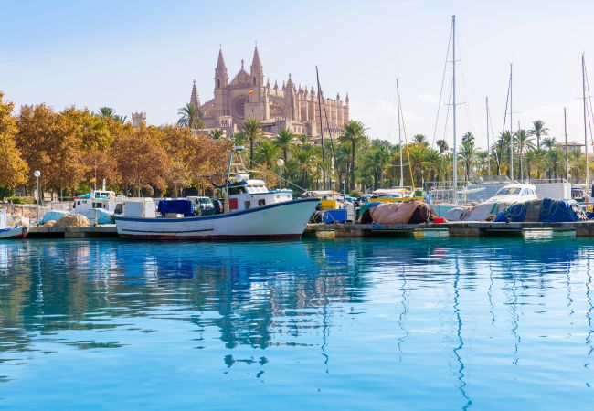 Villa à Sineu - 268 Villa Can Caluix ETV/8149  by Mallorca Charme Villa à Sineu - 268 Villa Can Caluix ETV/8149  by Mallorca Charme